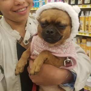 Meet your Posher, Delaney